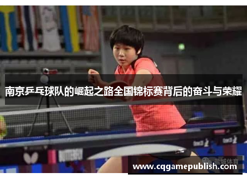 南京乒乓球队的崛起之路全国锦标赛背后的奋斗与荣耀