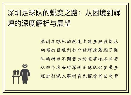 深圳足球队的蜕变之路：从困境到辉煌的深度解析与展望