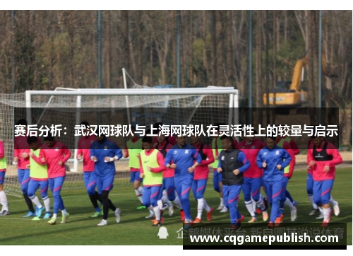 赛后分析：武汉网球队与上海网球队在灵活性上的较量与启示